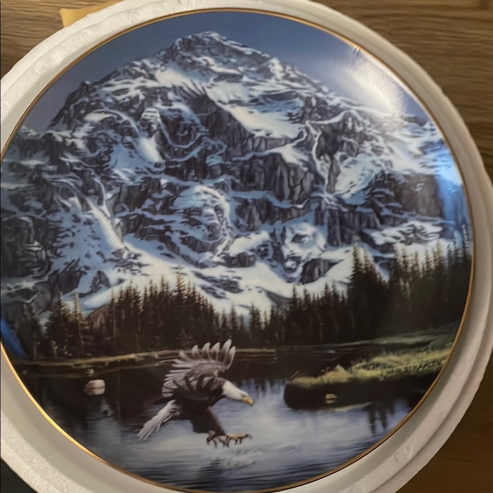 Decorative Plate with Mountain and Eagle Design